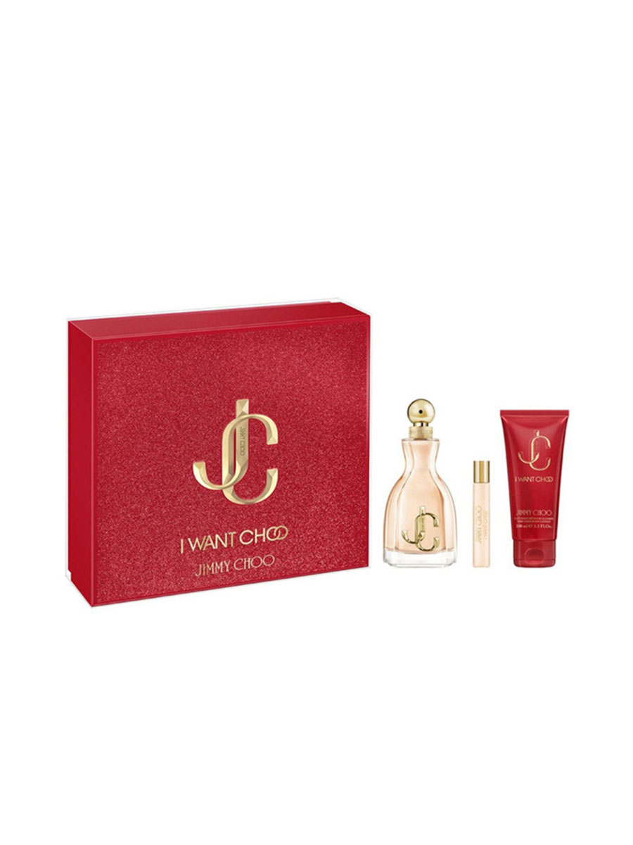 Jimmy choo edp 100ml online